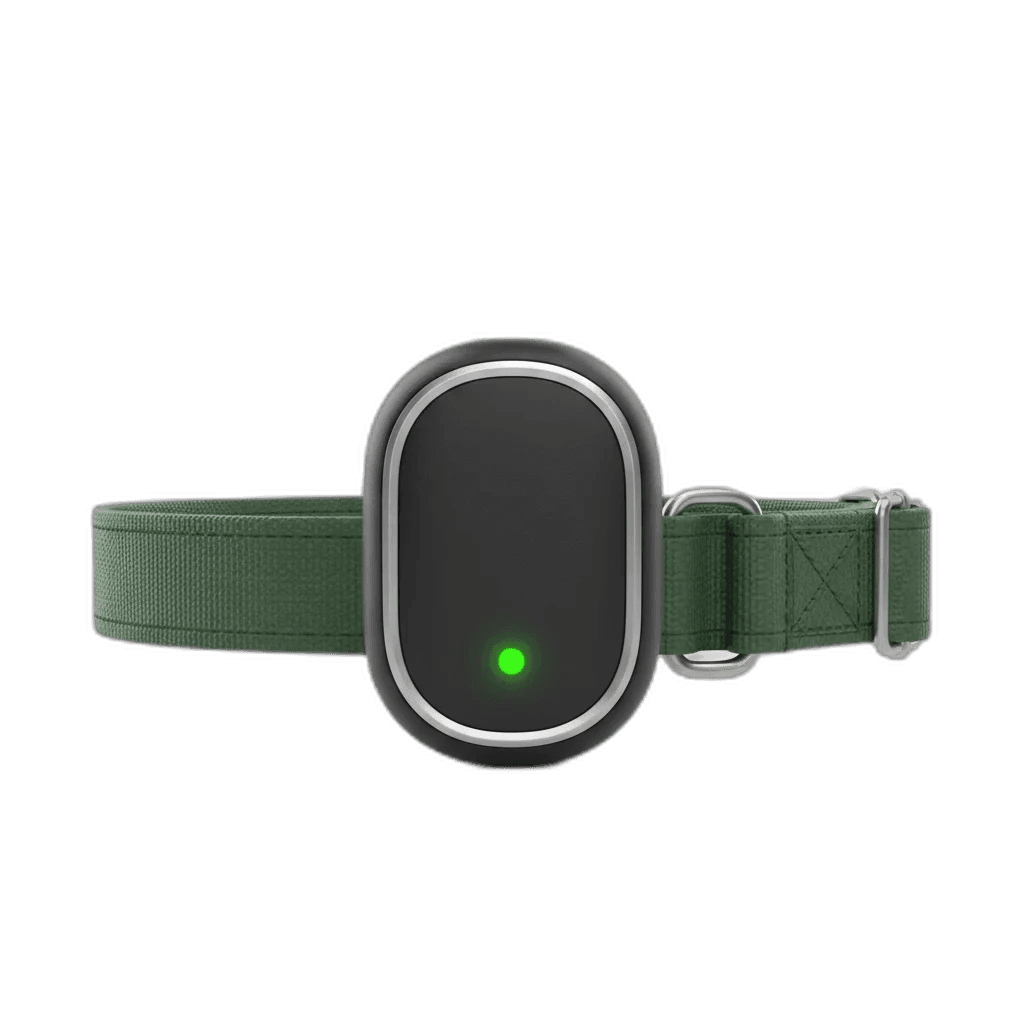 Whistle Health + GPS Pet Tracker