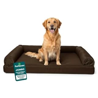 Furhaven Orthopedic Sofa Bed (Jumbo, up to 95 lb)