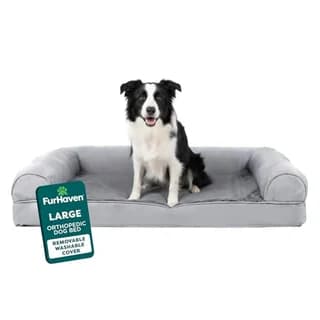 Furhaven Orthopedic Sofa Bed