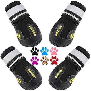 QUMY Dog Shoes