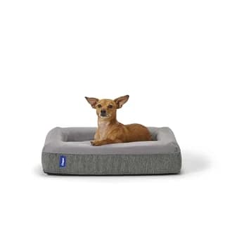 Casper Dog Bed