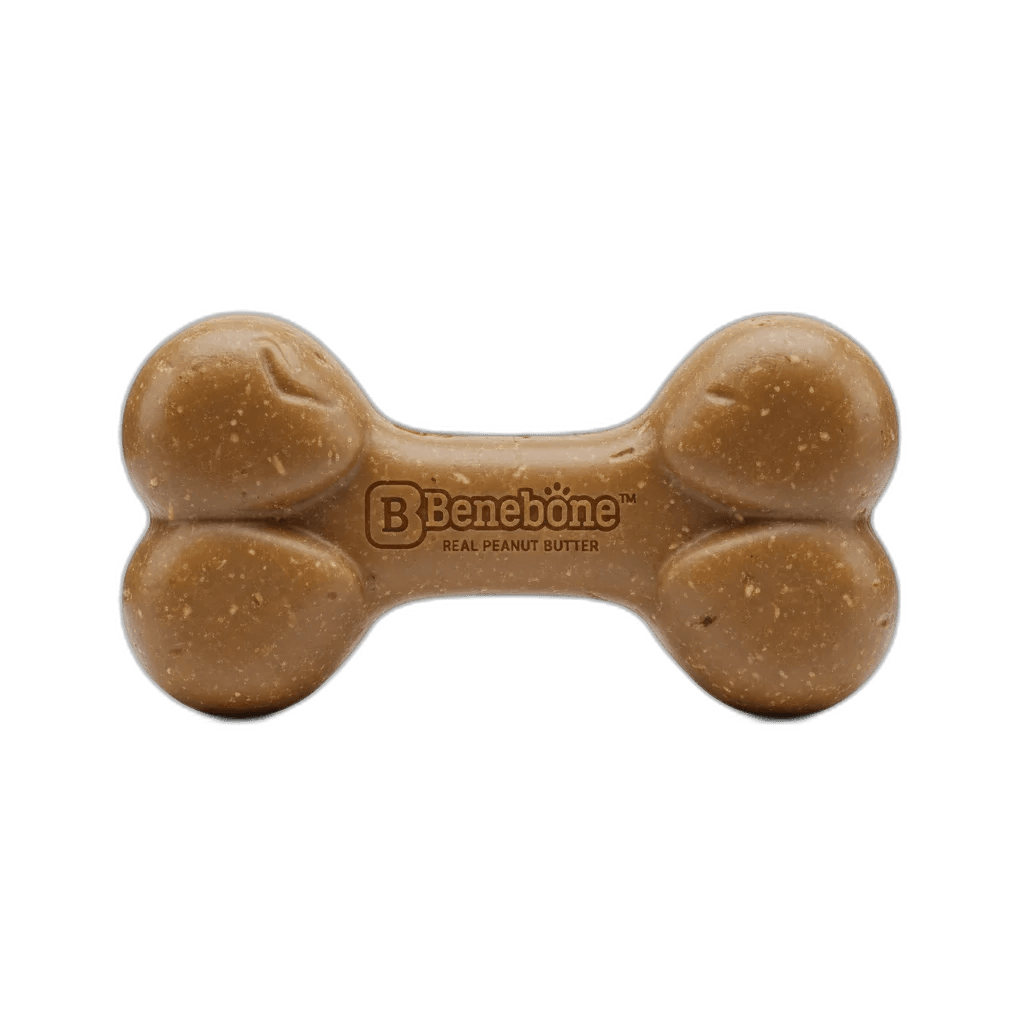 Benebone Wishbone (Large)