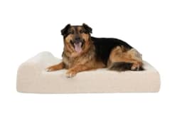 Big Barker 7" Pillow Top Orthopedic Bed (Large, 50–70 lb)