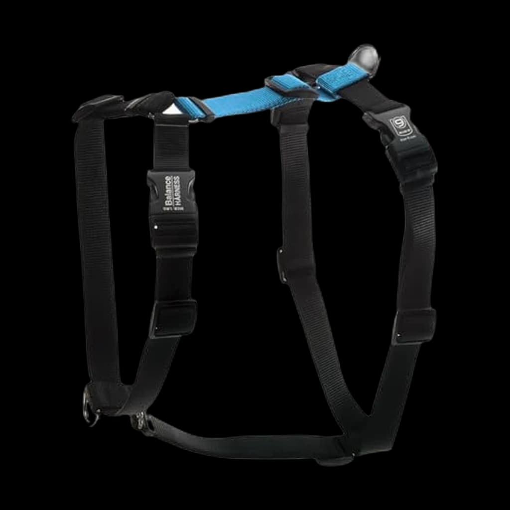 Blue-9 Balance Harness
