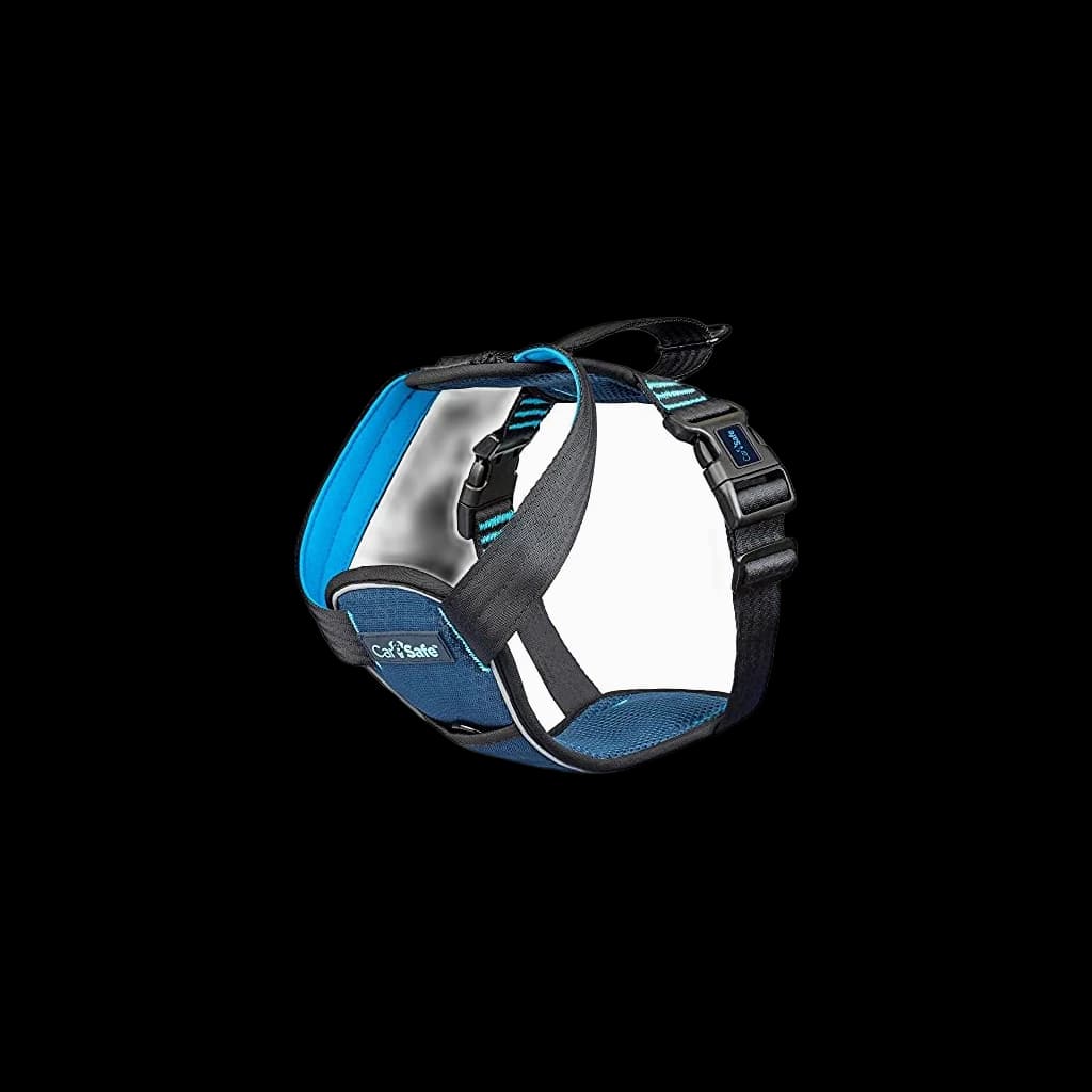 CarSafe Crash Tested Dog Safety Harness — independently researched travel carriers pick on PawBench
