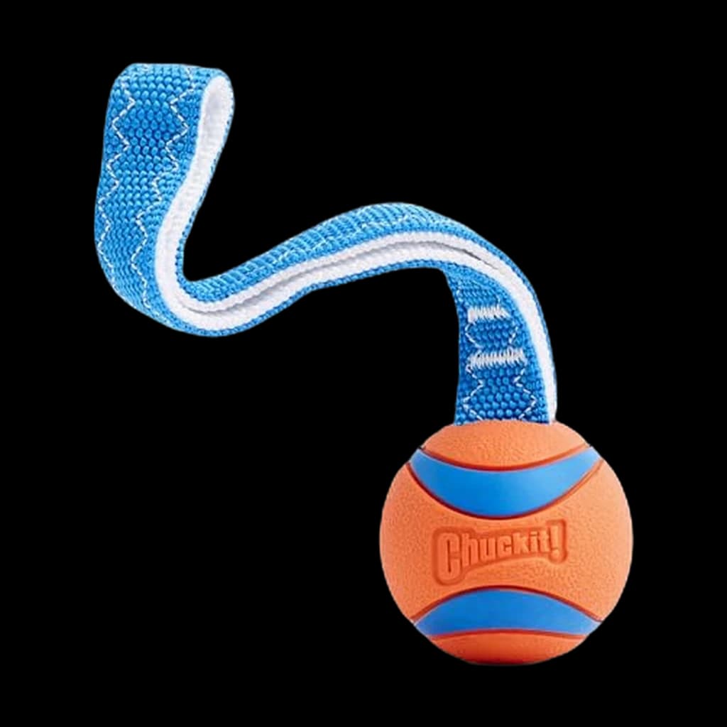 Chuckit! Ultra Tug (Medium)