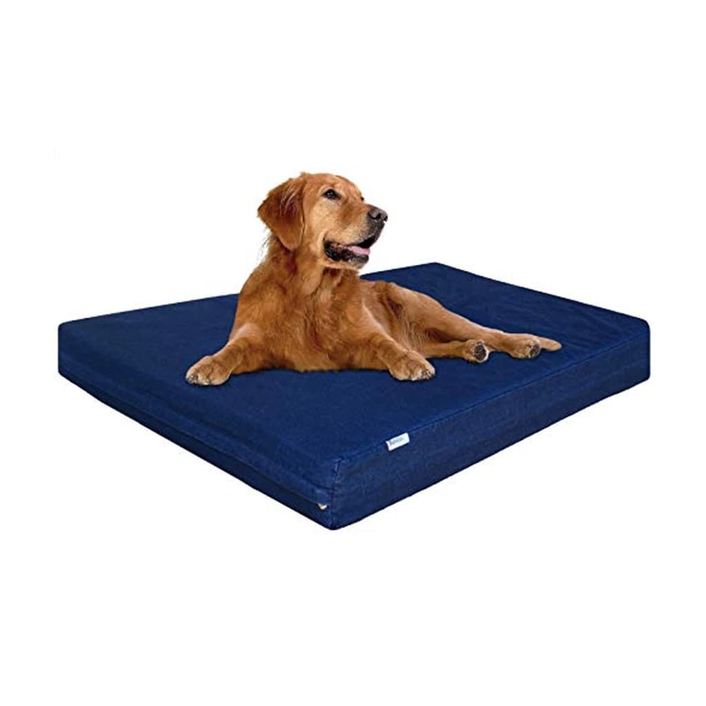 Dogbed4less XL Orthopedic Memory Foam Dog Bed