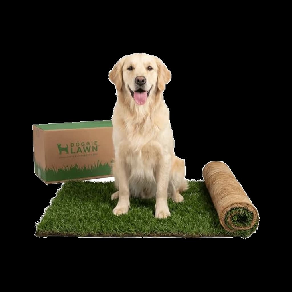 DoggieLawn XL Real Grass Puppy Pee Pad (24 x 48 in)