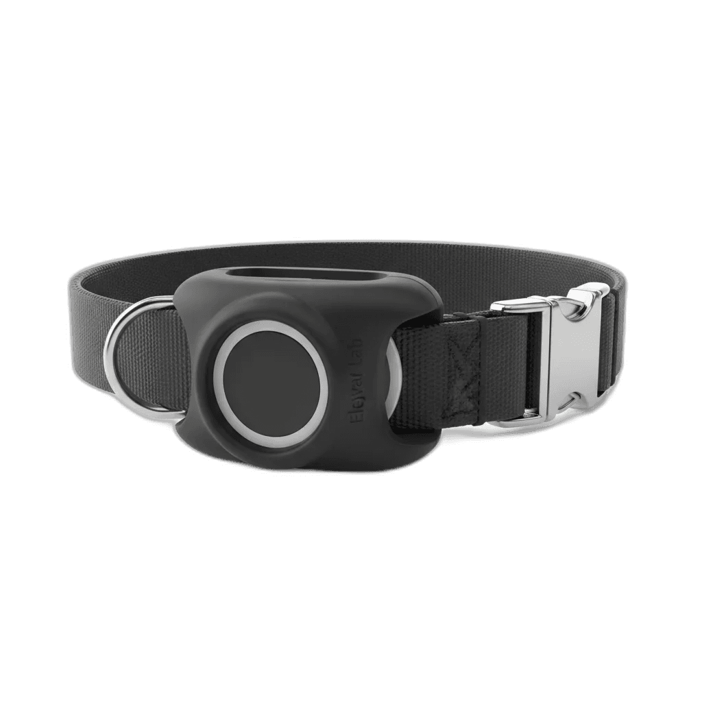 Elevation Lab TagVault AirTag Dog Collar Mount
