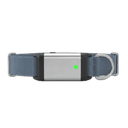 Fi Series 3 Smart Dog Collar