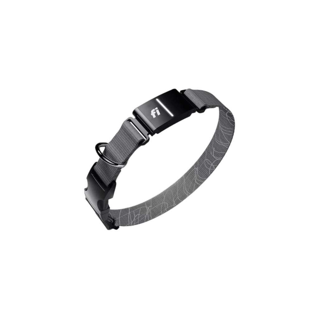 Fi Series 3+ GPS Dog Collar & Tracker (Membership Required, Gray)