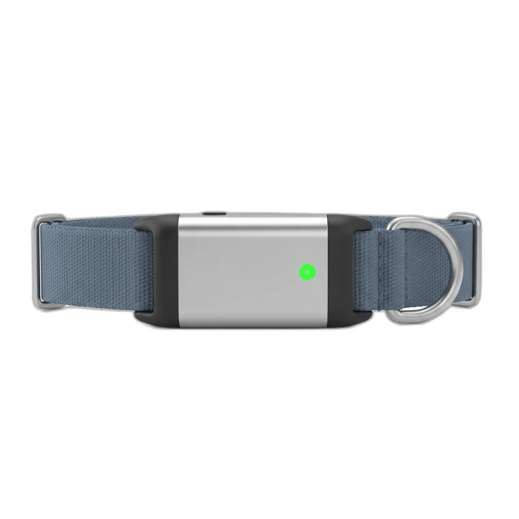 Fi Series 3+ GPS Dog Collar & Tracker (6-Mo Membership, Pink)