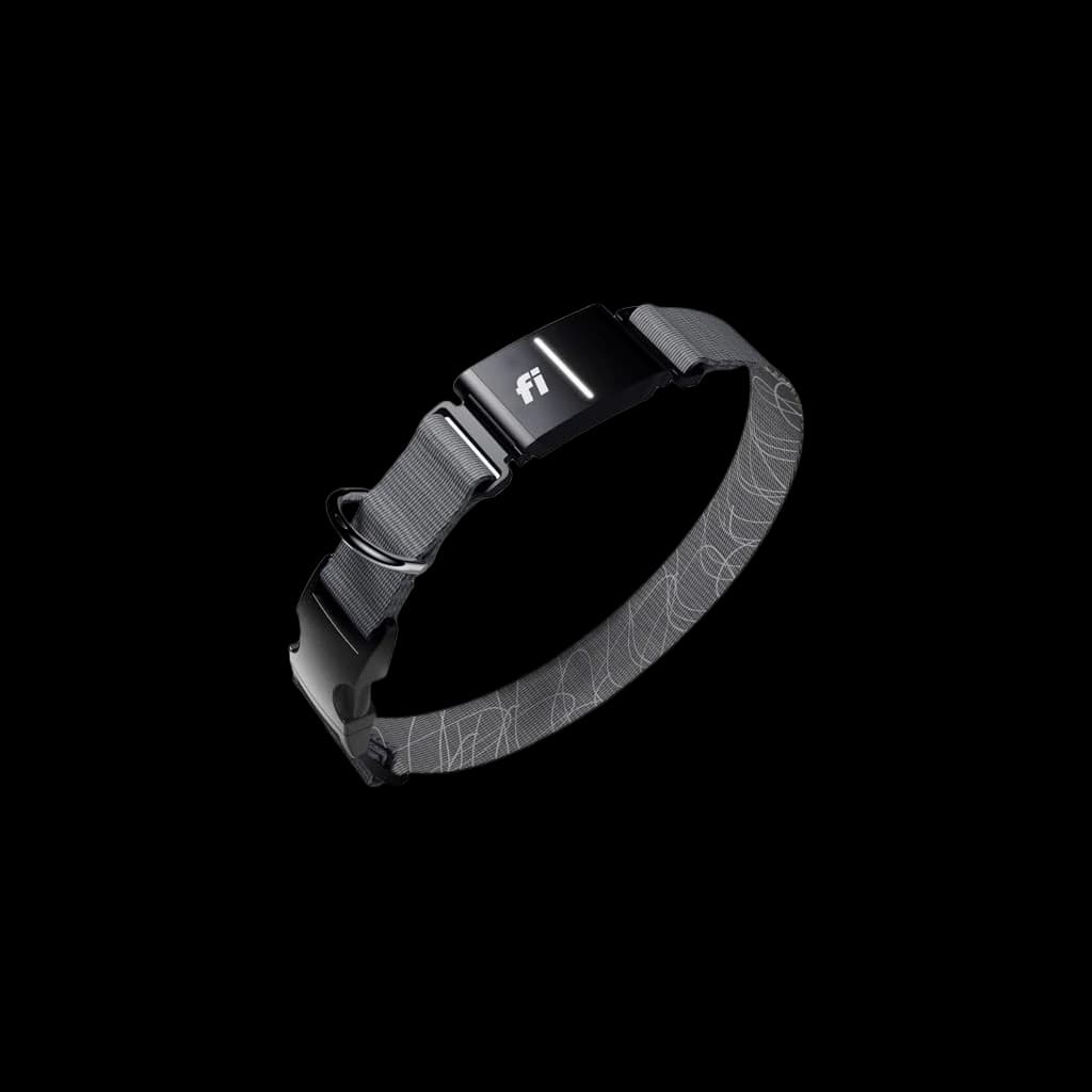 Fi Series 3+ GPS Dog Collar & Tracker (12-Mo Membership Included) — independently researched pet tech pick on PawBench