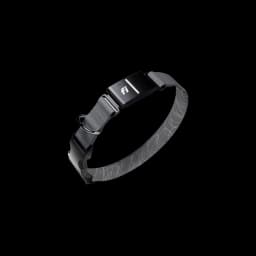 Fi Series 3+ GPS Dog Collar & Tracker (12-Mo Membership Included)