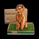 Fresh Patch Real Grass Patch (Standard, pets under 15 lb)