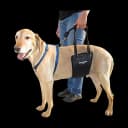GingerLead Dog Rear Support Sling (M/LG Unisex)