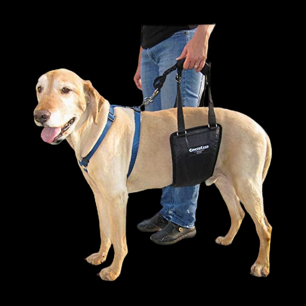 GingerLead Dog Rear Support Sling (M/LG Unisex)