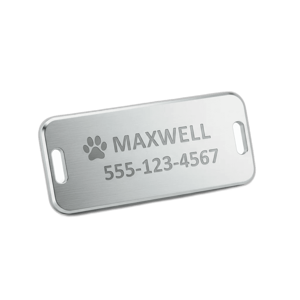 GoTags Personalized Stainless Steel Slide-On Collar Tag