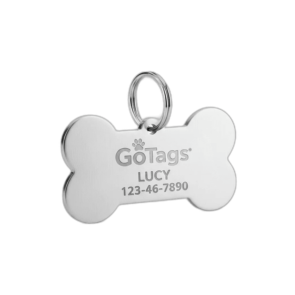 GoTags Stainless Steel Pet ID Tag — independently researched leashes collars pick on PawBench
