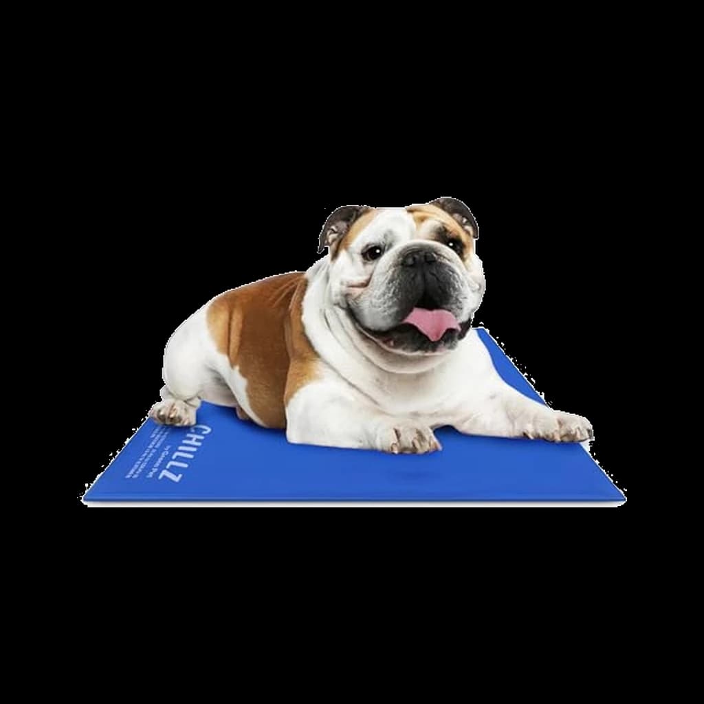 The Green Pet Shop Chillz Gel Mat, Large