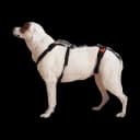 Help 'Em Up Harness (Conventional, Medium)