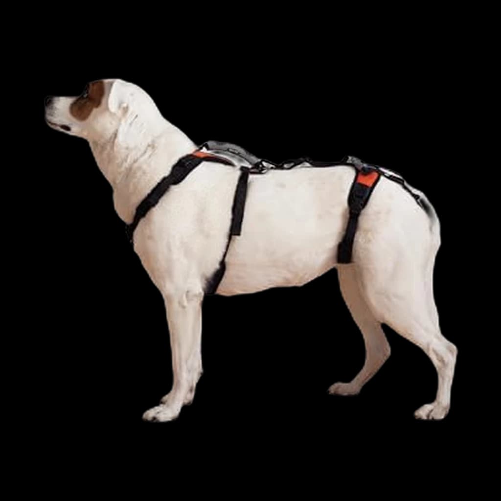 Help 'Em Up Harness (Conventional, Medium)