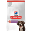 Hill's Science Diet Sensitive Stomach