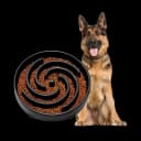 JASGOOD Slow Feeder Dog Bowl
