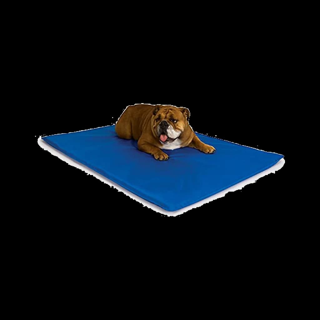 K&H Pet Products Cool Bed III, Medium