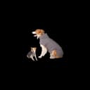 KITVAMREX Reflective Dog Winter Coat