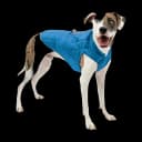 Kurgo Loft Reversible Dog Jacket