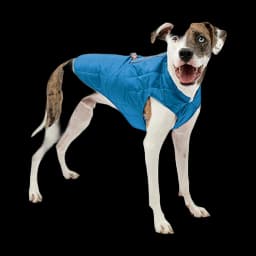 Kurgo Loft Reversible Dog Jacket