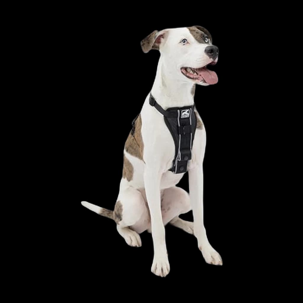 Kurgo Tru-Fit Smart Harness