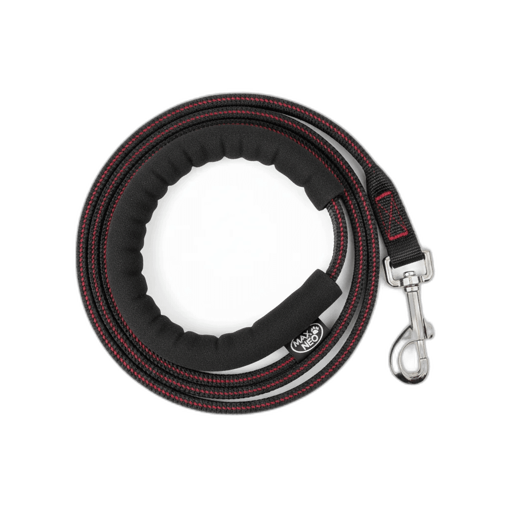 Max and Neo Double Handle Traffic Leash