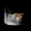 MidWest Foldable Metal Exercise Pen 48-Inch