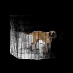 MidWest Foldable Metal Exercise Pen 48-Inch