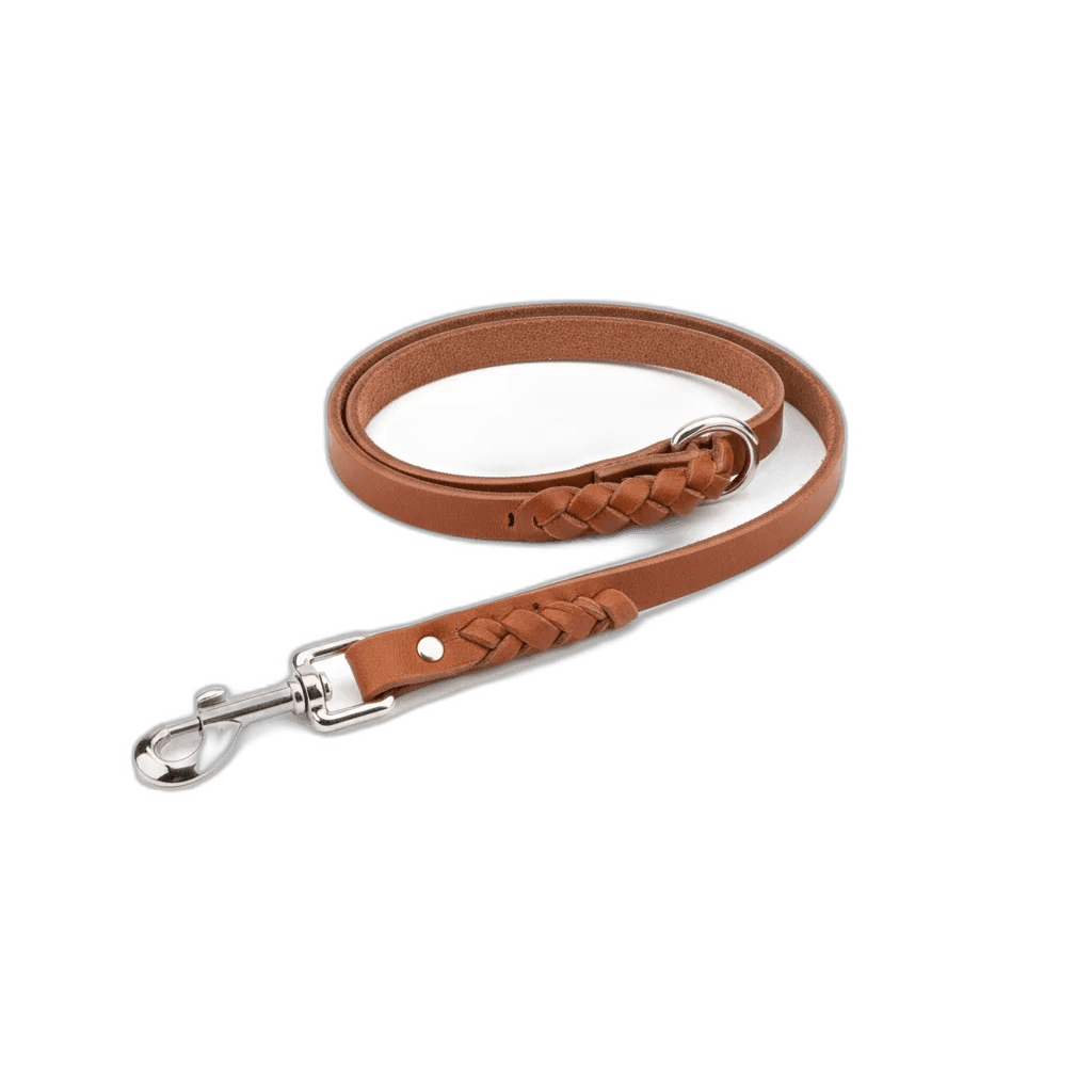 Mighty Paw Leather Leash 6ft — independently researched leashes collars pick on PawBench