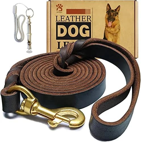 MERUOGKAR Leather Dog Leash 6ft x 3/4 inch