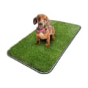 Ottomanson Artificial Grass Potty Pad with Tray (15 x 30 in)