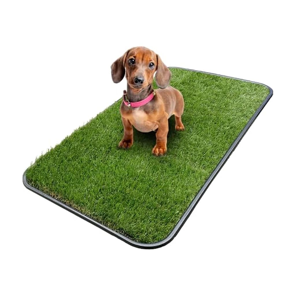Ottomanson Artificial Grass Potty Pad with Tray (15 x 30 in)