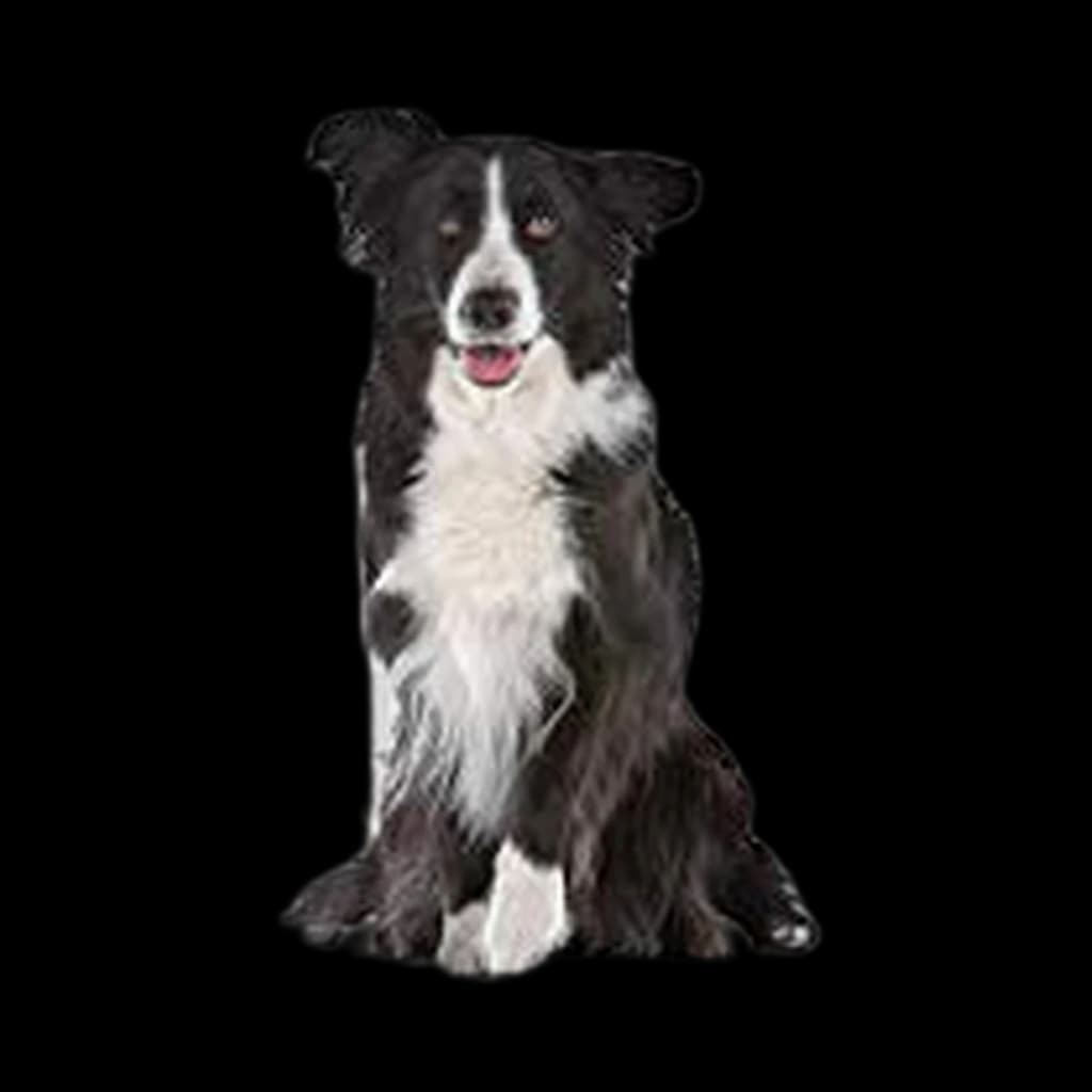 PetSafe 1-Piece Sliding Glass Pet Door