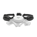 PetSafe Stay & Play Wireless Fence
