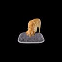 Snuffle Mat with Interactive Puzzle Feeders