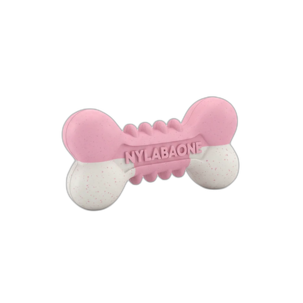 Nylabone Puppy Chew (Chicken)